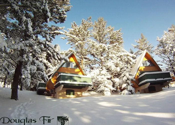 Kid friendly hotel Douglas Fir Resort & Chalets